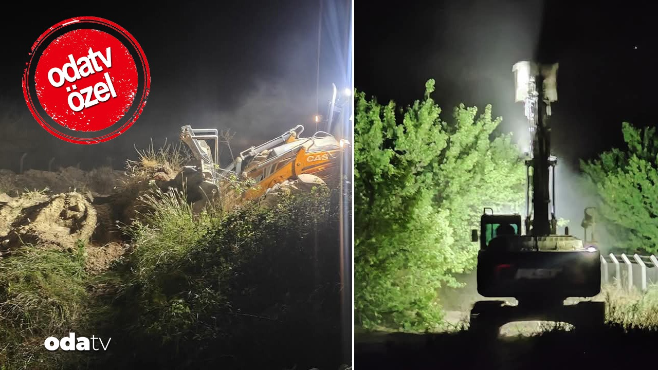 mezarlik projesi agaclara mezar oldu malatyada kayisi kiyimi aADqHb4L