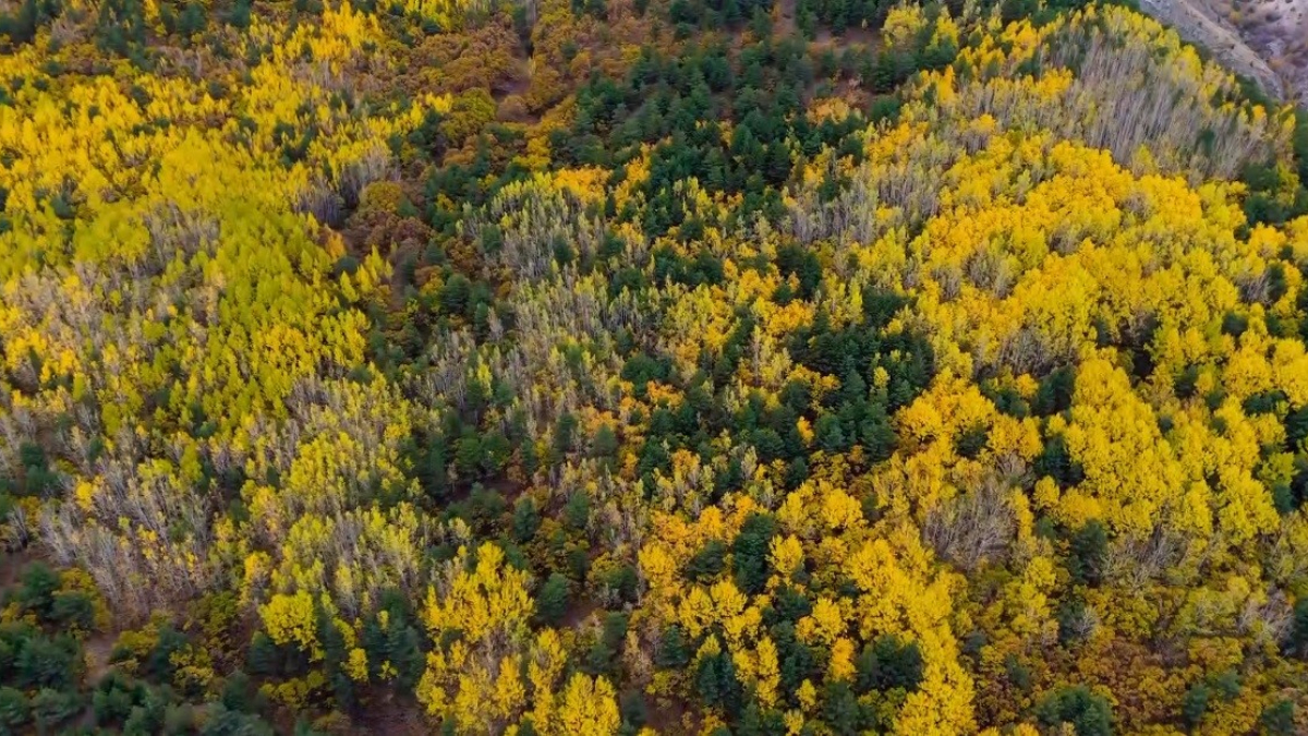 erzincanda sonbaharda seyirlik manzara 7WBkeAWg.jpg