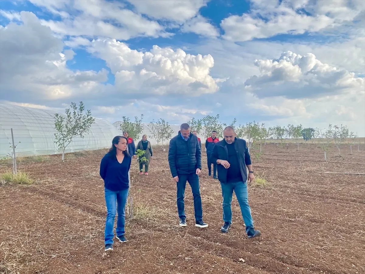 pinarhisar kaymakami ciftcileri ziyaret etti HP26kn3j.jpg
