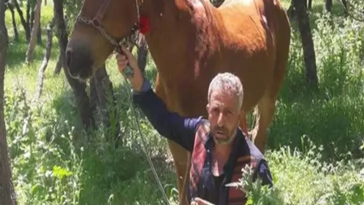 diyarbakirda babasini olduren saniga 15 yil verildi JdHj43L3.jpg