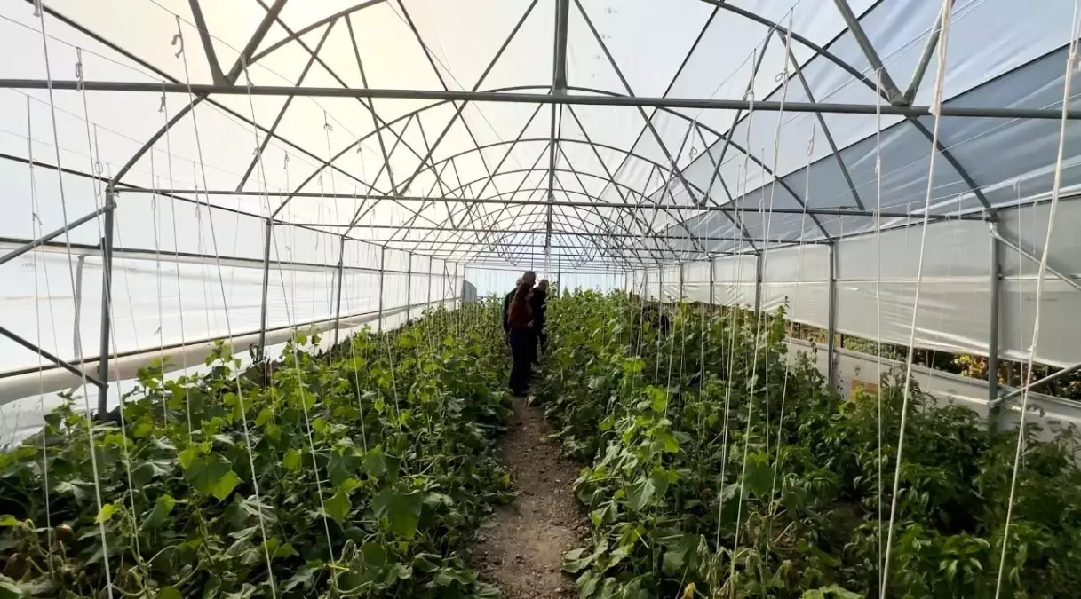 hakkaride koyler yeniden canlaniyor 2jQ1GtTl.jpg