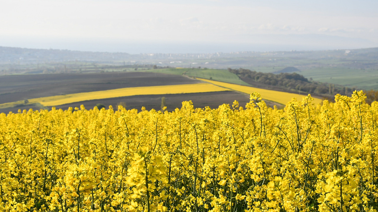 Muratlı’da Tarımda Yenilikçi Yaklaşımlar ve Destekleme Modelleri