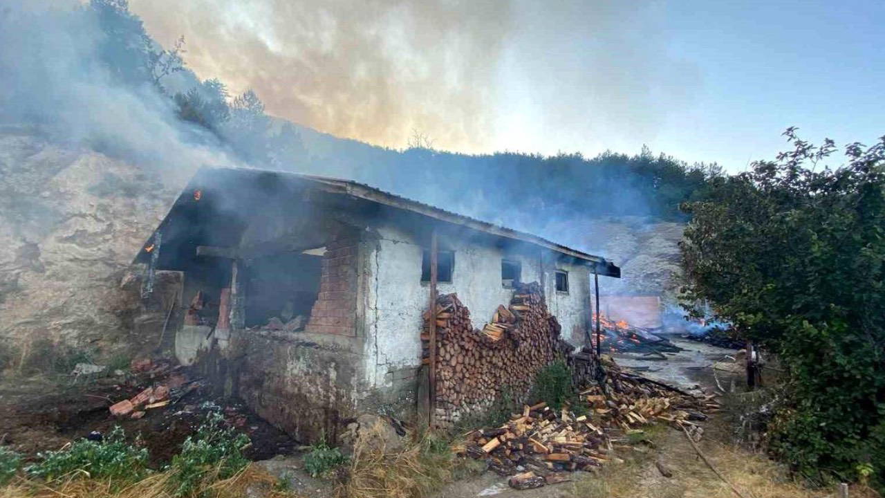 Kastamonu’da bir evde çıkan yangın ormanlık alana sıçradı Img