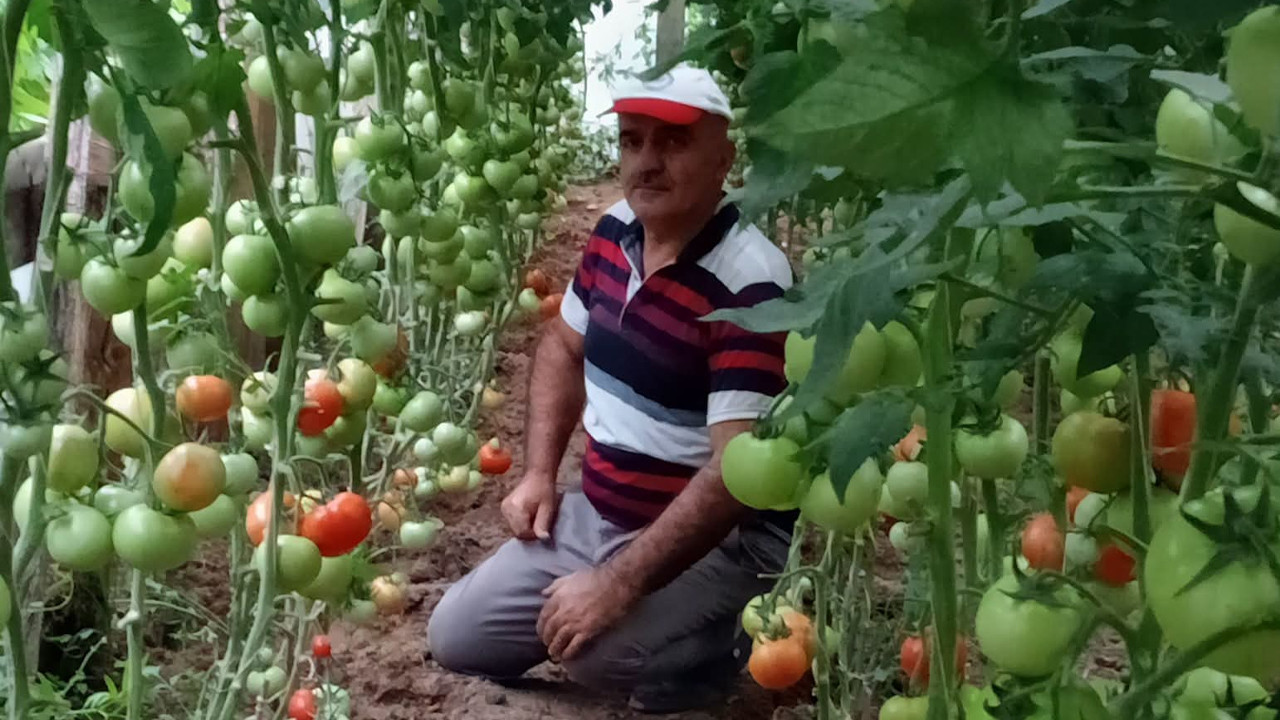 Korganlı üreticiden Türkiye’ye mesaj: Üretim varsa pazara elveda Img